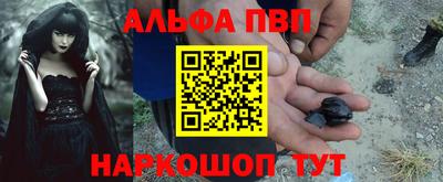 крисы Гатчина