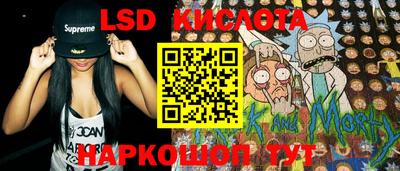 крисы Гатчина