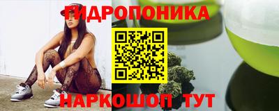 крисы Гатчина