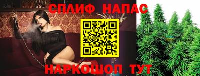 МДПВ Гагарин